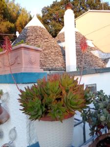Casa da Luisa Countryhouse