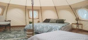 Tentes de luxe ECO CEIBA : photos des chambres