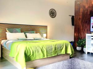 Appartements Happy studio 64 St louis : photos des chambres