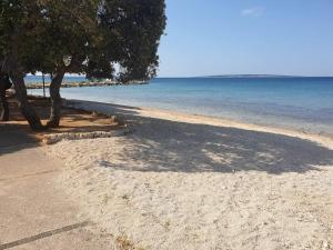 Apartman Luna Gajac 