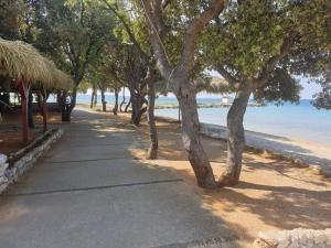 Apartman Luna Gajac 