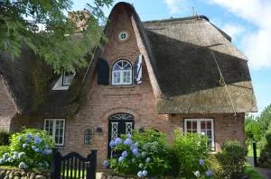 Litzkow 10906 - Abort