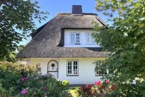 Litzkow 15101 - Abort