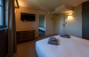 Hotels Hotel du DOMAINE SAINT LOUP : photos des chambres