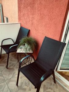 Apartman Zaga
