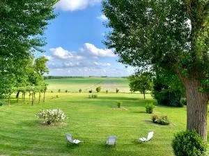 Antica Vigna - 基奥贾