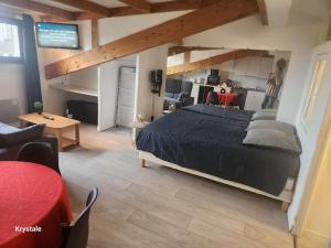 Appartements Studio proche centre-ville : photos des chambres
