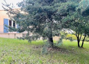 Villas Villa Ylang - climatisee : photos des chambres