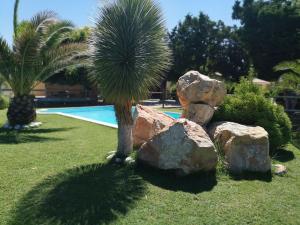 Maisons de vacances Mas provencal cosy avec piscine dans le Sud ! : photos des chambres