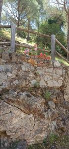 Borgo Ingurtosu img49