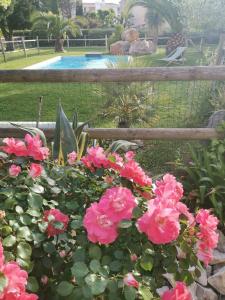 Maisons de vacances Mas provencal cosy avec piscine dans le Sud ! : photos des chambres