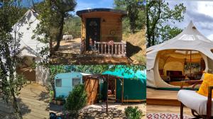 Tentes de luxe Les Cabanes d'ErbeFol : photos des chambres
