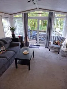 The Forest Cabin Holiday Home 15 - Colmonell