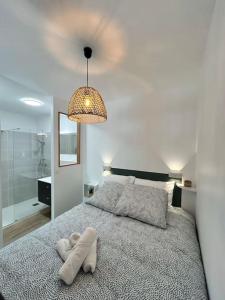 Appartements Studio aux 2 terrasses : photos des chambres