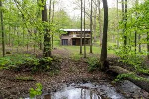 Secluded Naples Cabin with Deck and Stream Views - Cohocton