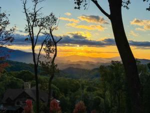 The Bear Cave at Eagles Nest