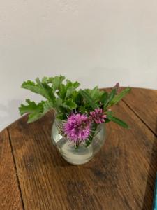 Modern Stylish room Linkside