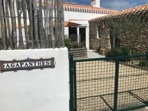 Les Agapanthes - 巴尔巴特尔