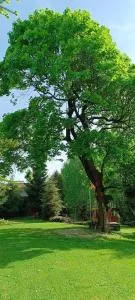 AGROTURYSTYKA "BIKE-OWE RANCZO POD KLONAMI" - Gózd