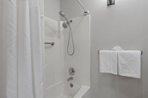 Prospector Lodge 805 by Moose Management