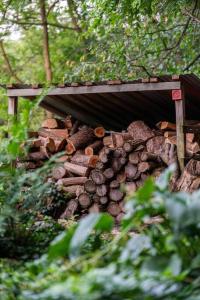 Beautiful Tiny House, Sauna, Mohican Getaway