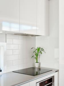 North Hobart townhouse close to the action