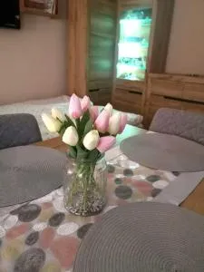 Przytulne M1 u podnóża gór - Leszczyniec