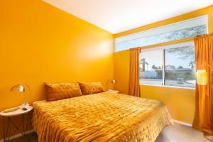 Designer Wexler Oasis with Saltwater Pool & Spa