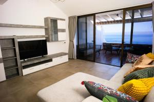 Delfin Bambi Los Gigantes