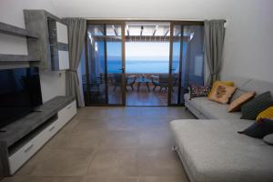 Delfin Bambi Los Gigantes