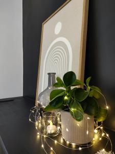 La Maison Dakoté 10 min à pied de lhyper centre ville