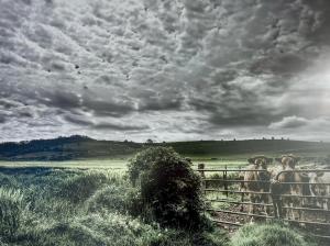 Le gîte de la vieille poste