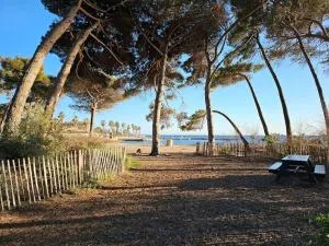 T2 paisible, wifi, proche plage et pinède - Saint-Mandrier-sur-Mer
