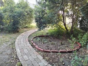 Garden in the center