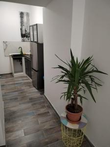 Garden in the center