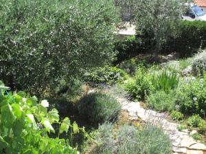 DORIS PUNTA SKALA, 2 BEDROOMS