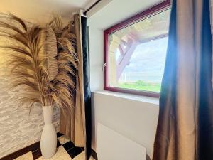 Appartements Basement/Entresol face a la mer 180° : photos des chambres