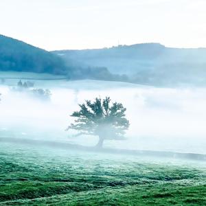Complexes hoteliers Silent Valley Bed & Breakfast : photos des chambres