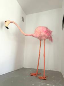 Villas Villa Camargue : photos des chambres