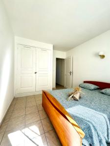 Villas Villa Camargue : photos des chambres