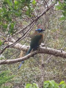 Casa Roble Cabaña romántica en la montaña de Costa Rica
