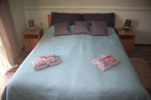 Family-friendly apartments with swimming pool Novi Vinodolski - 22488