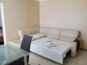 VIP, Zrce, Gajac, Above Main Square, Best Location 