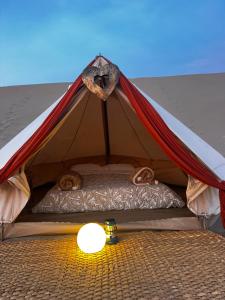 Duna Camp Huacachina