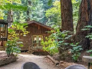 Magical Cabin Retreat in the Redwoods!! - Notleys Landing