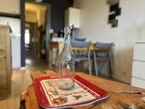 Appartements Studio renove pour 4 pers., bien equipe avec reductions sur forfaits et materiel de ski - FR-1-165A-36 : photos des chambres