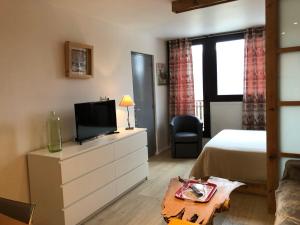Appartements Studio renove pour 4 pers., bien equipe avec reductions sur forfaits et materiel de ski - FR-1-165A-36 : photos des chambres