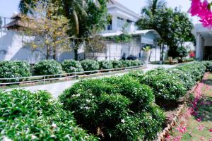 M-Homey! Mini Resort