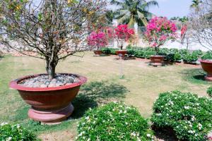 M-Homey! Mini Resort