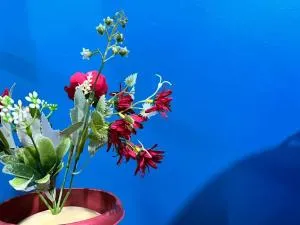 Balanga KR Transient Staycation - Limay